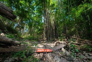 BIB: 
                            <button type="button" onclick="openModal(19388719)" class="btn btn-primary btn-sm float-right btn-popup" data-toggle="modal" data-target=".modal-high-quality">
                        <i class="fas fa-shopping-cart"></i> Add to Cart
                    </button>
                                            <button type="button" onclick="isThisMe(19388719, true)" class="btn btn-success btn-sm float-right btn-popup btn-isme hidden" data-toggle="tooltip" data-placement="bottom" title="นี่คือรูปของคุณใช่ไหม คลิกที่นี่เพื่อเอาเข้าอัลบั้ม">
                        <i class="fas fa-plus"></i> Add to album
                    </button>
                    <button type="button" onclick="isThisMe(19388719, false)" class="btn btn-warning btn-sm float-right btn-popup btn-isnotme hidden">
                        <i class="fas fa-ban"></i> Remove from album
                    </button>